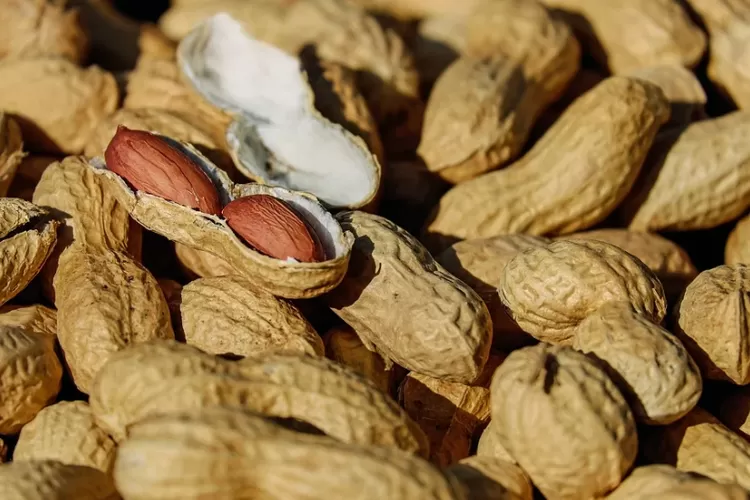 Kacang, salah satu makanan yang sering dituduh menjadi penyebab jerawat di wajah. Benarkah? (Pixabay/Couleur)