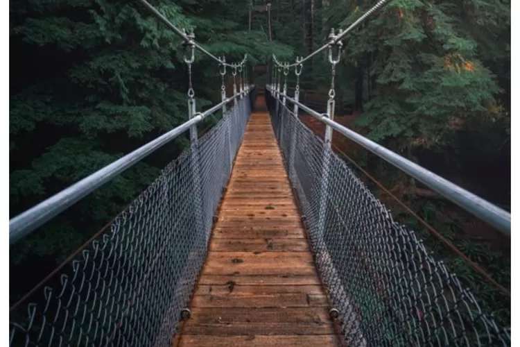 Illustrasi jembatan gantung (pexels)