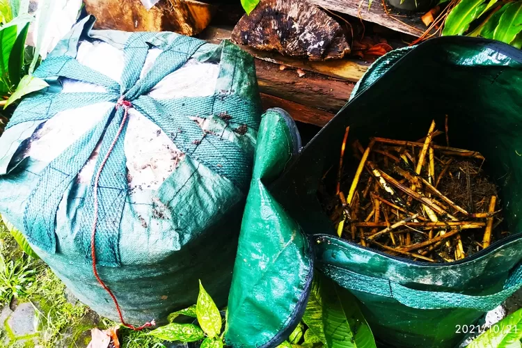 Proses pembuatan kompos melalui permentasi sampah.  