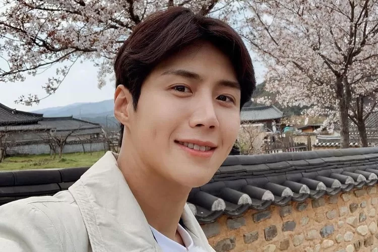 Profil Biodata Lengkap Kim Seon Ho Aktor Korea Selatan Bintang Drama