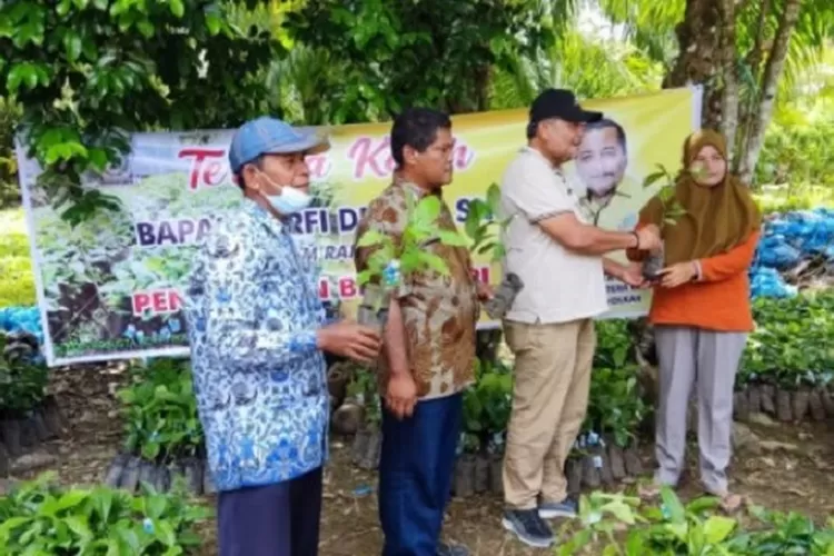 Anggota DPRD Sumbar Zarfi Deson Salurkan Bantuan Bibit Kopi Robusta Di Kecamatan Lengayang Pesisir Selatan (Foto: dok pesisirselatankab.go.id)