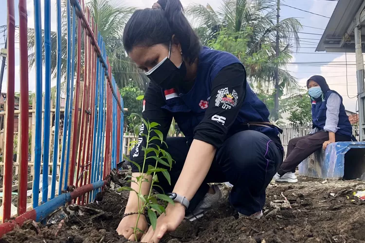 Penanaman tumbuhan produktif TOGA (Tanaman Obat Keluarga)  - Foto: PMI Kota Tangerang 