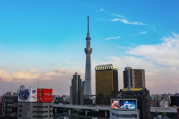 Tokyo Skytree Building (pixabay )