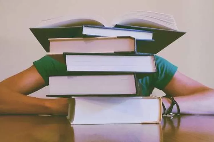 Proses Pengadaan Pelatihan Manajemen Survival di Kemenkominfo (Dok.pexels.com/Pixabay)