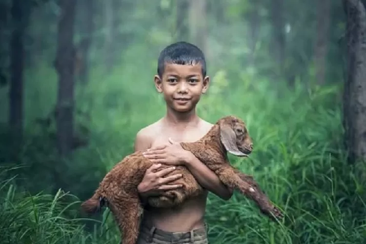 Petani Kambing asal Cigombong tertipu. Puluham hewan ternaknya lenyap. (Pixabay)