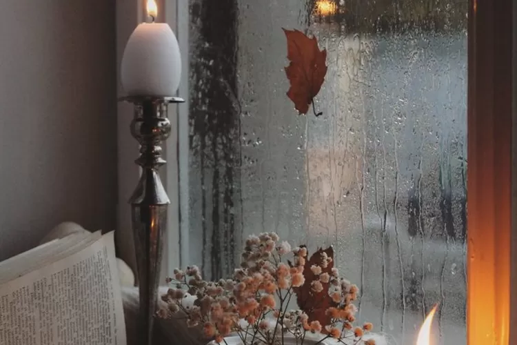 7 lagu K-Pop yang cocok didengar di musim hujan, membawamu merasakan indahnya musim gugur di Korea Selatan (Pexels/Ioana Motoc )