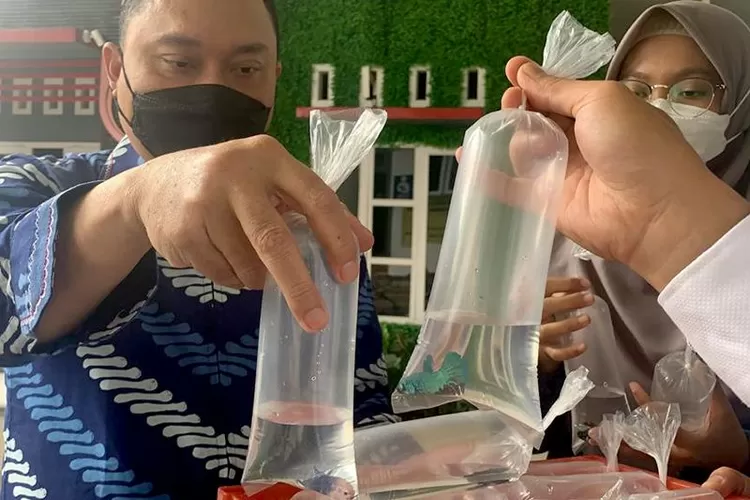 Direktur RSI Banjarnegara dr Agus Ujianto SpB menunjukkan ikan cupang yang akan dibagikan kepada warga sebagai upaya pencegahan demam berdarah.  (ANTARA/HO-RS Islam Banjarnegara)