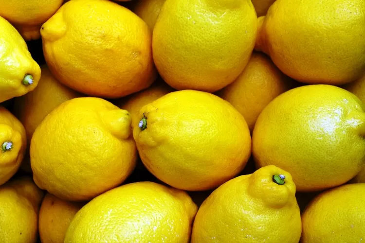 Buah kuning yang memiliki rasa masam, manfaat lemon bagi kesehatan (Pixabay/RichardJohn)