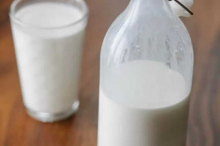 Susu Sapi Versus Susu Kambing, Mana yang Lebih Baik? (pexels)