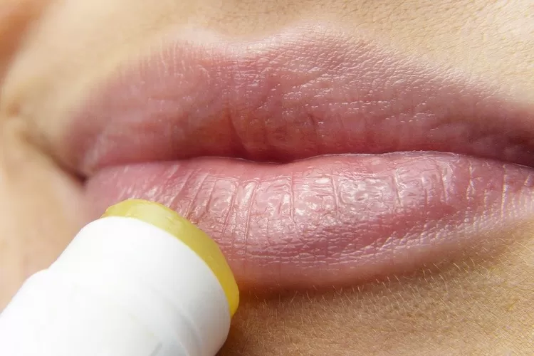 5 Tips Untuk Menjaga Bibir Anda Lembut untuk menghindari pecah pecah dan kekeringan (pixabay)