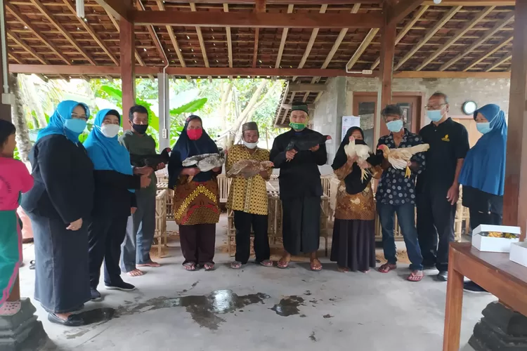 Penyerahan bantuan secara simbolis wujud induk ayam kampung kepada kelompok pembudidaya ayam kampung di Mriyan. (Foto : Dok Humas UMBY)