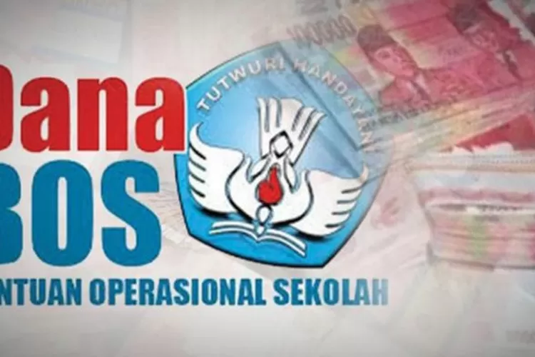 Ikustrasi: Dana BOS (dok.Istimewa)