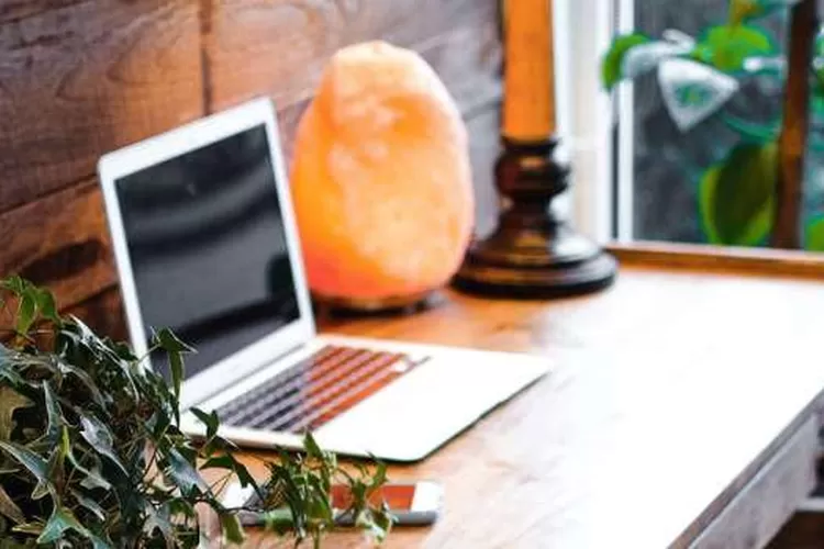 Ilustrasi Creeping Privatization atau Privatisasi Merangkak di PLN (Dok.pexels.com/AndreaDavis)