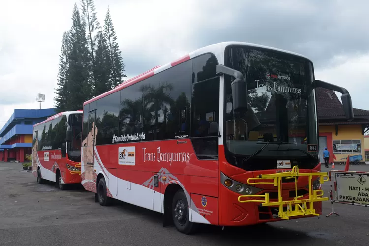 Ini Cara Naik Bus Trans Banyumas Gratis, Unduh Aplikasi Teman Bus Dulu ...