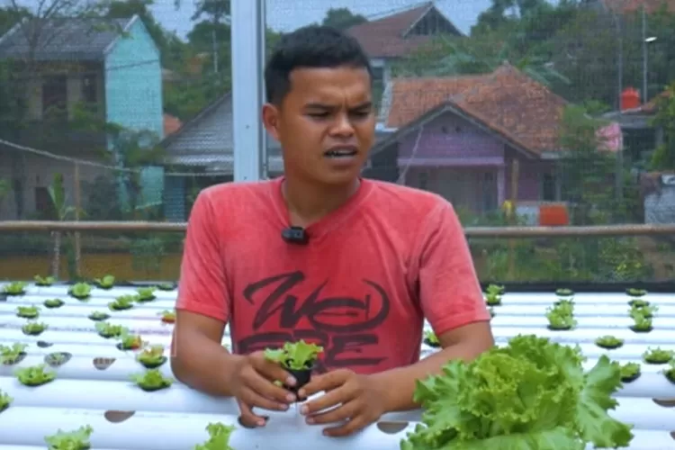 Muhammad Pajri, Pedagang Sayuran Keliling Asal Purwakarta Sukses Kembangkan Sayuran Hidroponik. (Ayopurwakarta.com/Dede Nurhasanudin)