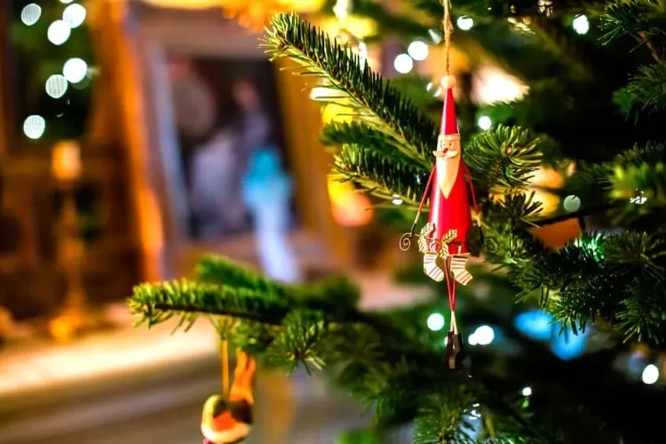 Simbol ikonik saat Natal berupa pohon natal yang biasanya menggunakan pohon cemara. (Unsplash/Bruno Martins)