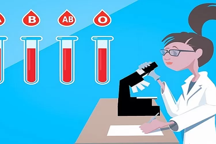 Ilustrasi pengelompokan golongan darah pada manusia ( pixabay.com)