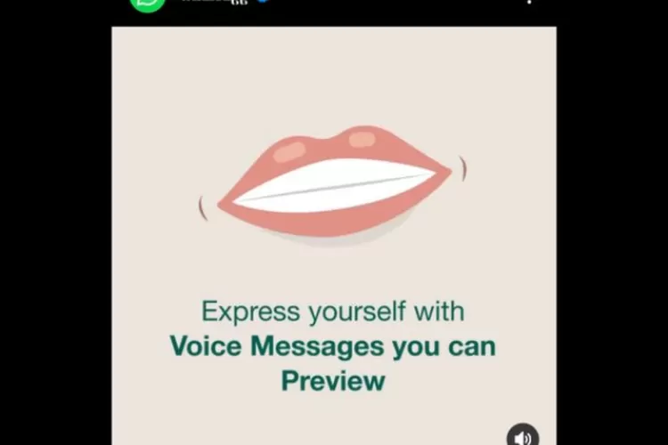 Fitur Voice Note Baru di WhatsApp (Tangkapan layar akun IG resmi WhatsApp)