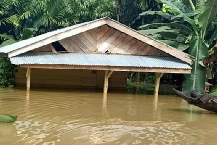 Banjir di Mentawai.