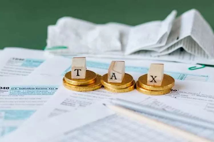 Masalah pajak di Pemprov Sumsel (Dok.pexels.com/NataliyaVaitkevich)