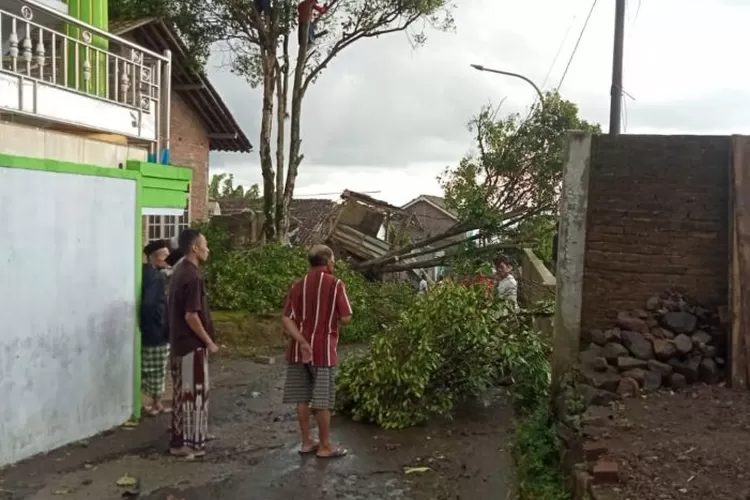 Pohon tumbang (dok. BPBD Magelang)