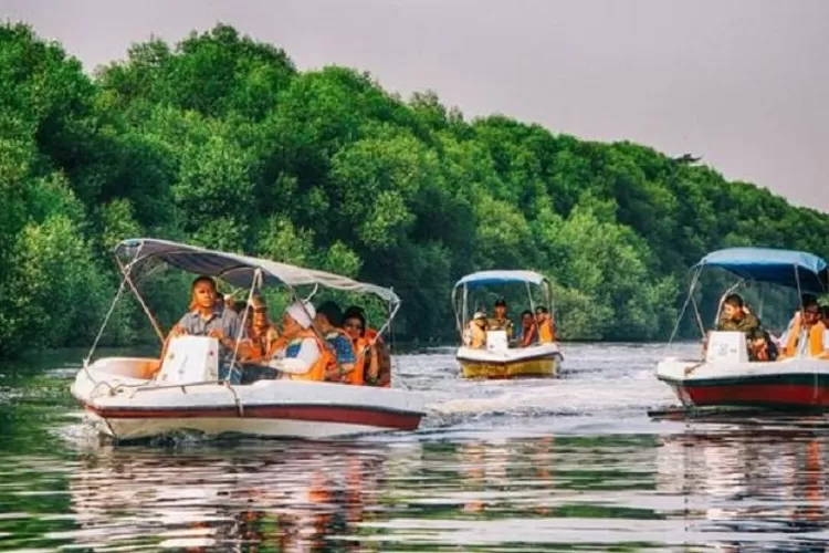  Pusat Mangrove Graha Indah, Balikpapan.  (ANTARA/HO)