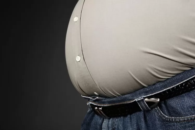 Ilustrasi: Perut Buncit. (beritabeta.com)