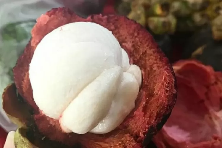 Ada tamsil dalam buah manggis yang ditulis Mommy ASF (IG/@ecaprasetya)