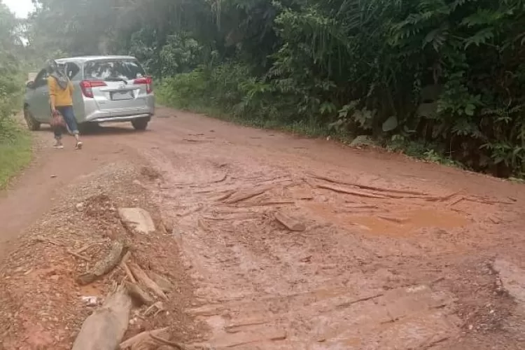 Jalan akses ke Candi Muaro Jambi (Anuza)