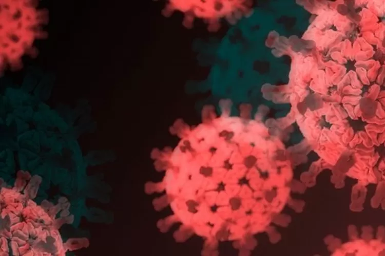 Update Covid-19 Indonesia 29 Januari: Kasus Positif Tembus 11 Ribu (Envato)