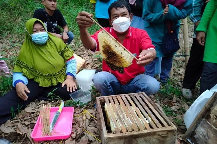 Lestari bersama suaminya saat membuka sarang lebah di wisata petik madu di desa Kedawung Banyuputih Batang.&nbsp; (Muslihun/Kontributor Batang&nbsp;)