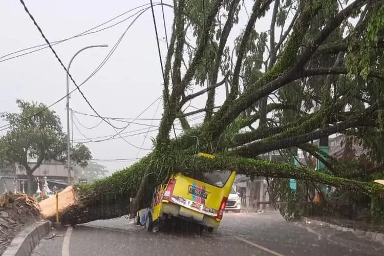 Mobil Tertimpa Pohon Besar di Indihiang  (Whatsapp)
