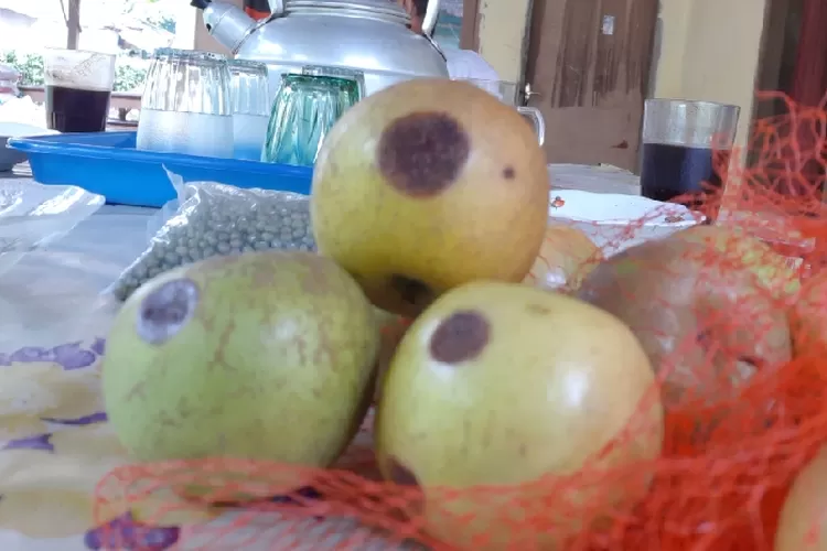 Apel Hijau Busuk ada di Bingkisan Program Sembako/BPNT. (Rosyka/Bogor Times)