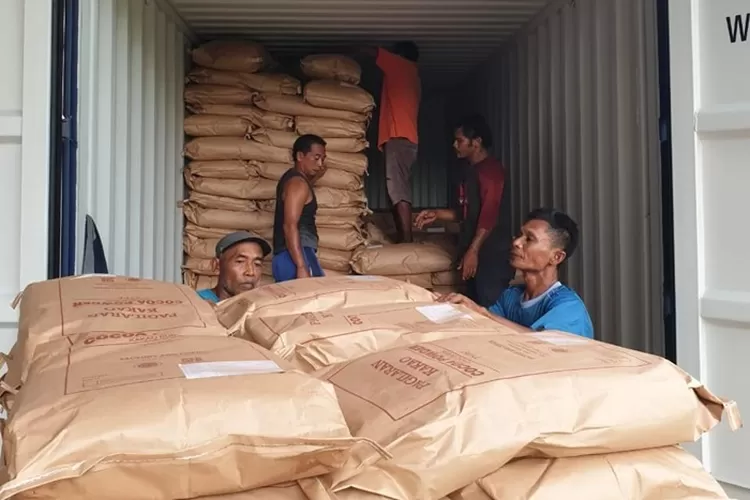 Proses pengiriman produk coklat dari perkebunan kakao UGM Cocoa Teaching Industry menuju Jepang.  (Muslihun/Kontributor Batang&nbsp;)