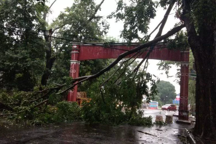 Pohon tumbang di beberap area di Kota Cirebon
