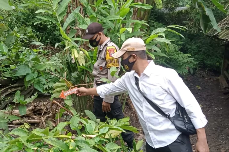 Polisi memeriksa kandang kambing yang disatroni pencuri di Kulon Progo. (Foto: Humas Polres Kulon Progo)