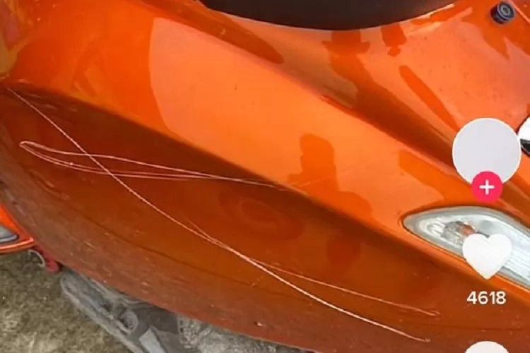 TikTok Viral (Gorajuara/dok: TikTok/@freakdumbb)