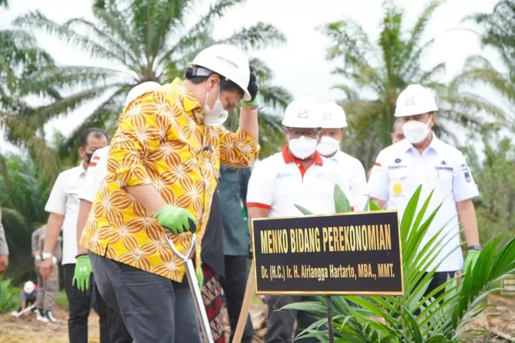 Menteri Koordinator Bidang Perekonomian Airlangga Hartarto menyerap aspirasi petani kelapa sawit Kandis, Kampung Libo Jaya, Siak, Provinsi Riau (Kemenko Perekonomian)