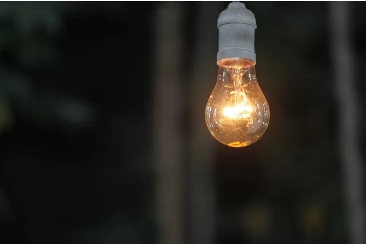 Ramalan Zodiak Cancer, Leo, Virgo Kamis 21 Juli 2022, Leo: Ada Ide Baru (Pixabay)