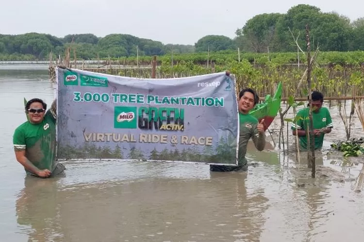  Penanaman pohon dalam rangka kegiatan MILO Green ACTIV, diselenggarakan Nestl&eacute; MILO bersama Restep.id dan Yayasan Lindungi Hutan di daerah Desa Bedono, Kabupaten Semarang. (istimewa)