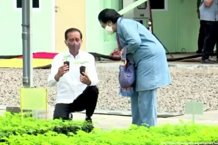 Presiden Jokowi dan Megawati Soekarnoputri. (YouTube Sekretariat Presiden.)