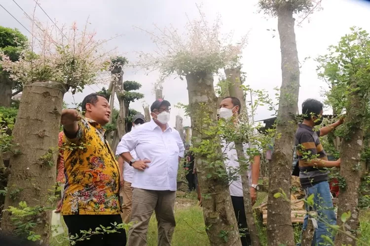 Jajaran  Bank Indonesia Provinsi Jawa Timur saat meninjau sentra tanaman hias di Gresik