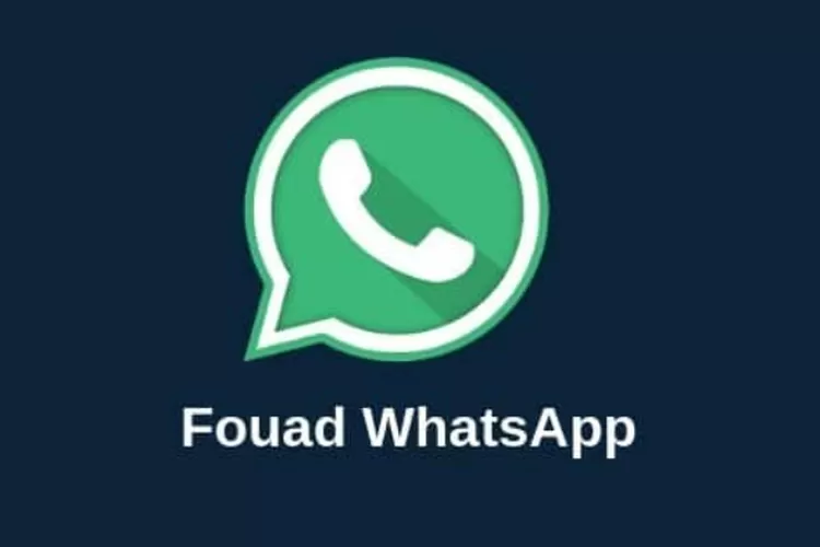 Fouad WhatsApp Bisa Sembunyikan Centang Biru, Apa Aman? - Ayo Jakarta