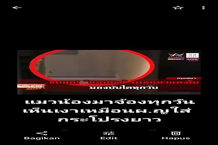 Viral di Tiktok Diduga Video Arwah Artis Thailand Tangmo Nida yang Membuat Heboh Netizen (Tangkapan Layar Video di Tiktok @tripob642)
