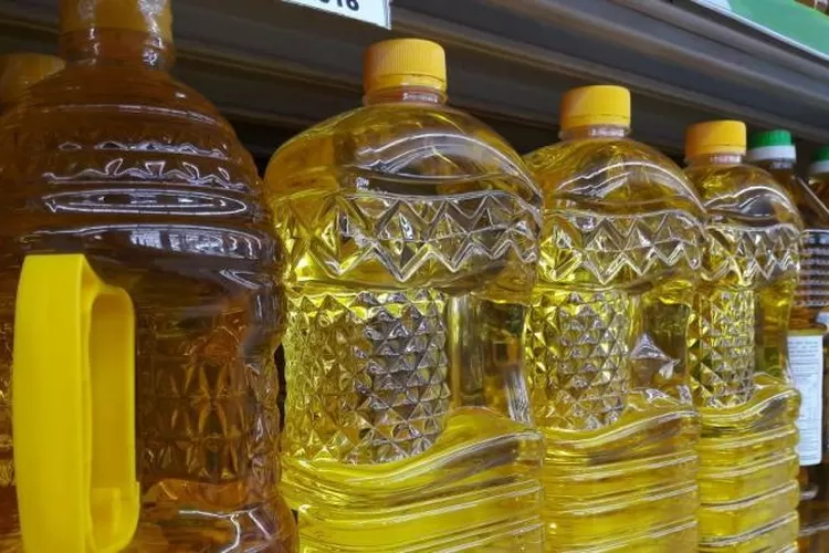 Ilustrasi: minyak goreng (dok. Ist)