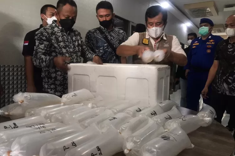 Tim gabungan dari Mabes Polri bersama Ditpolairud Polda Jabar berhasil mengagalkan aksi penyelundupan atau ilegal fishing benih bening lobster.
