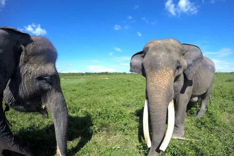 Tempat wisata Kekinian di lampung 2022. Foto/Instagram ( Foto/Instagram)
