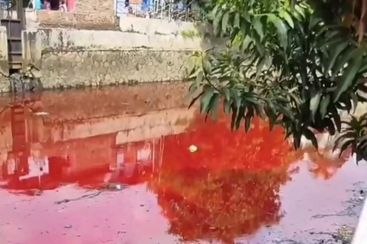 Kali Semarang berwarna merah pada Sabtu 9 April 2022 sore. Ternyata penyebabnya orang membuang cairan cat tembok.  (InfoSemarangTerkini)
