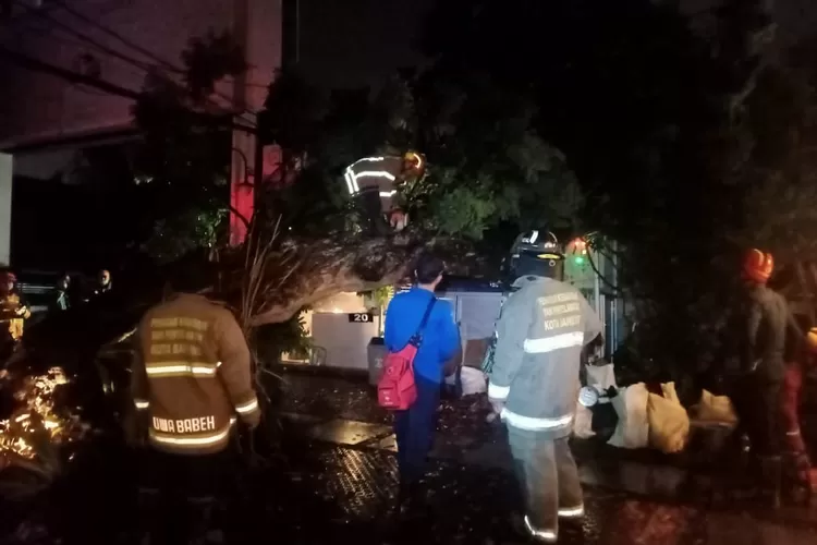 Penanganan pohon tumbang di Jalan. L. L. R. E Martadinata (Foto: Humas Diskar PB Kota Bandung)