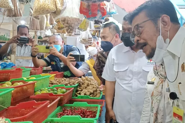 Menteri Pertanian Syahrul Yasin Limpo lakukan sidak